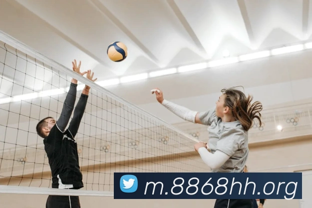 8868体育全站App